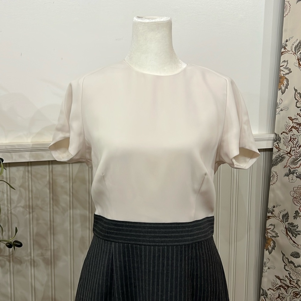 J. Crew Dress